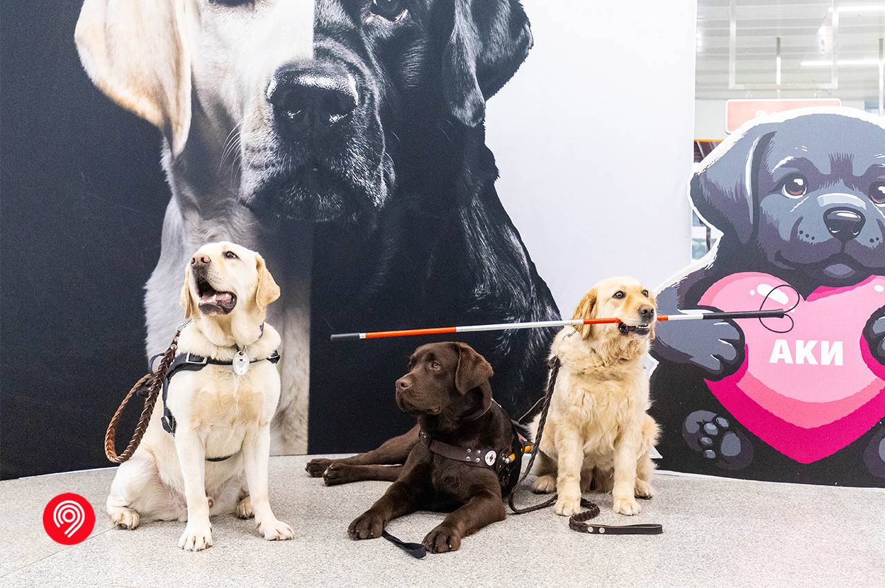 Международный день собак-проводников отметили на «Нижегородской»